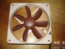 Noctua Case Fans Case, Fans, Noctua 10