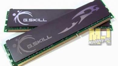 G.Skill ECO DDR3-1600 Memory